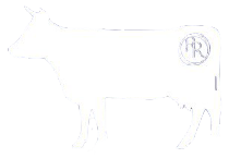 White Cow Transparent Background